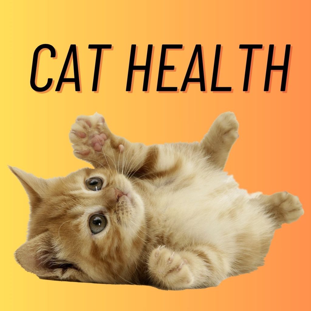 The right cat food for optimal health health and weight ingredients