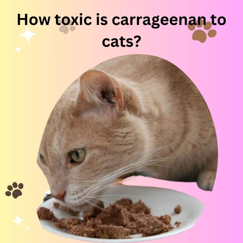 How toxic is carrageenan to cats